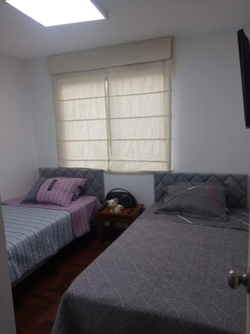 Apartment A Beautiful Place In The Heart Of Miraflores *